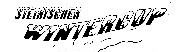 Logo 2. Bewerb steirischer Wintercup 2008